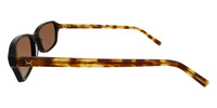 Palm Paradise 21