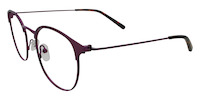ULRICH 11