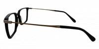 BENSON 21