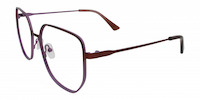 ALOISIA 11