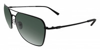 0AX2029S 11