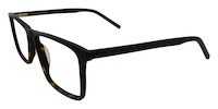 ACKERLEA 01