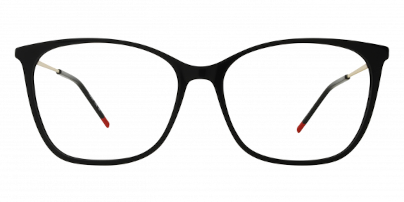Hugo Boss HG1294 01