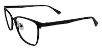 ORIA 11